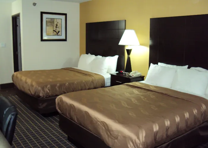 Hotel Quality Area 3*