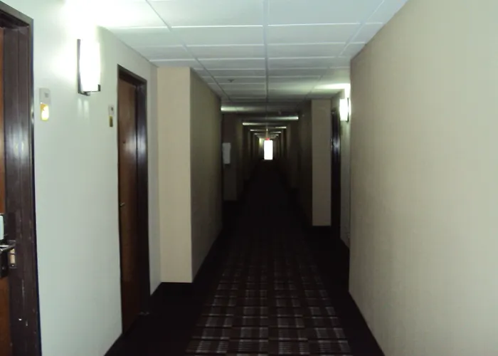 Hotel Quality Area 3*